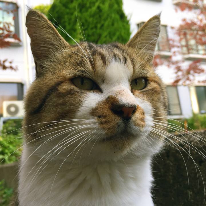 De601e3c 3f45 40e4 a31d 6563d77df926