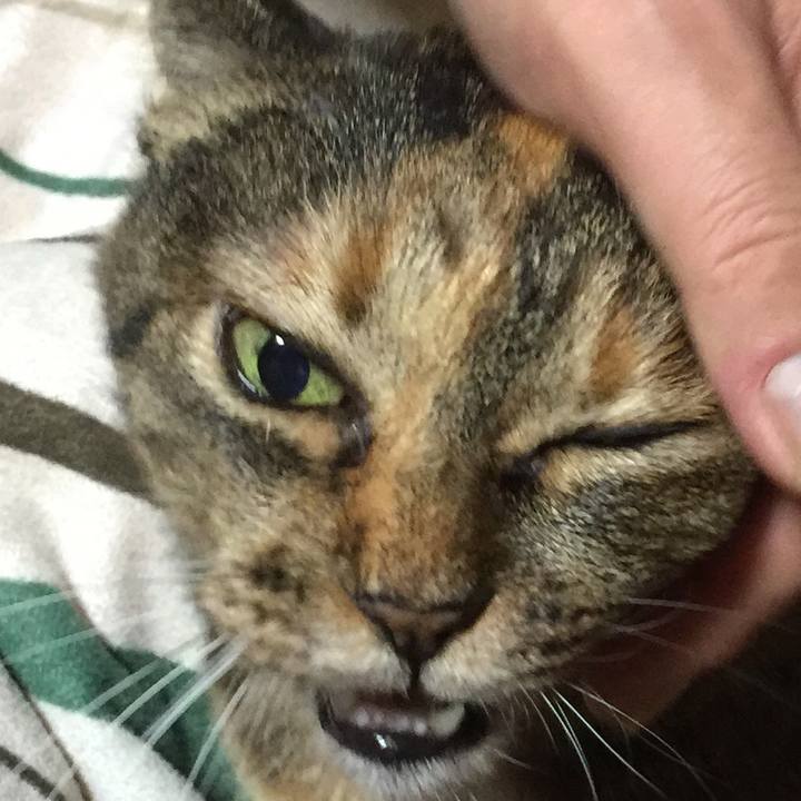 De605b05 6aee 49ed af70 c603a3a2e942