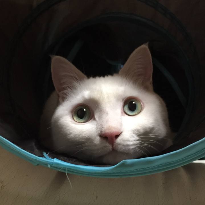 De60780d 976e 41fd 8bd9 ba432fc92277