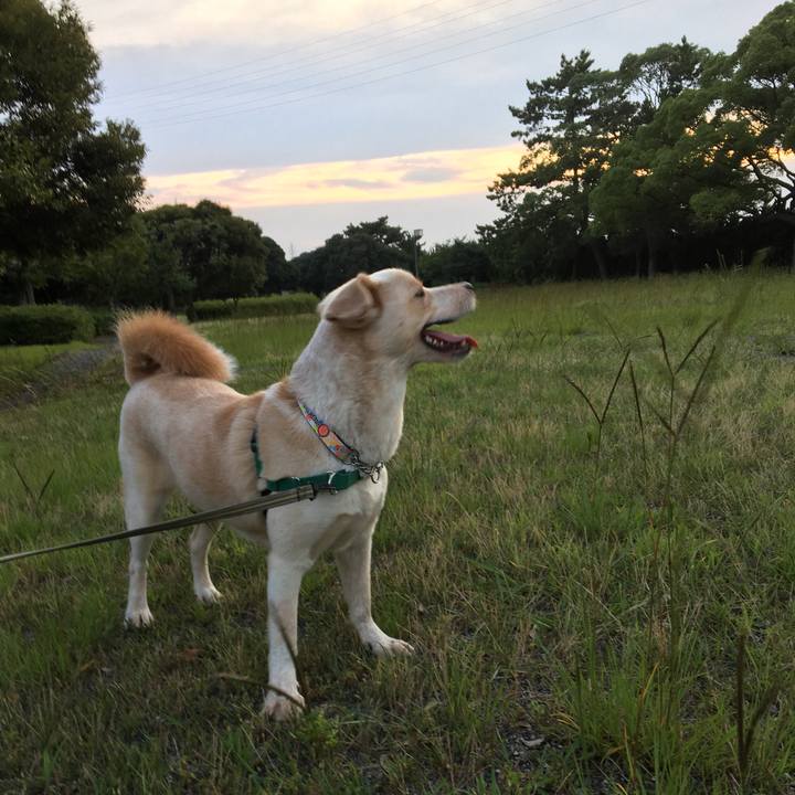 De60cc35 d58e 4970 9683 24d6ea970bb5