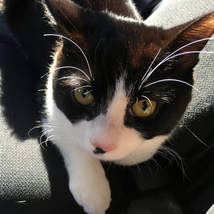 De613327 669e 47af 811b f435b230ddec