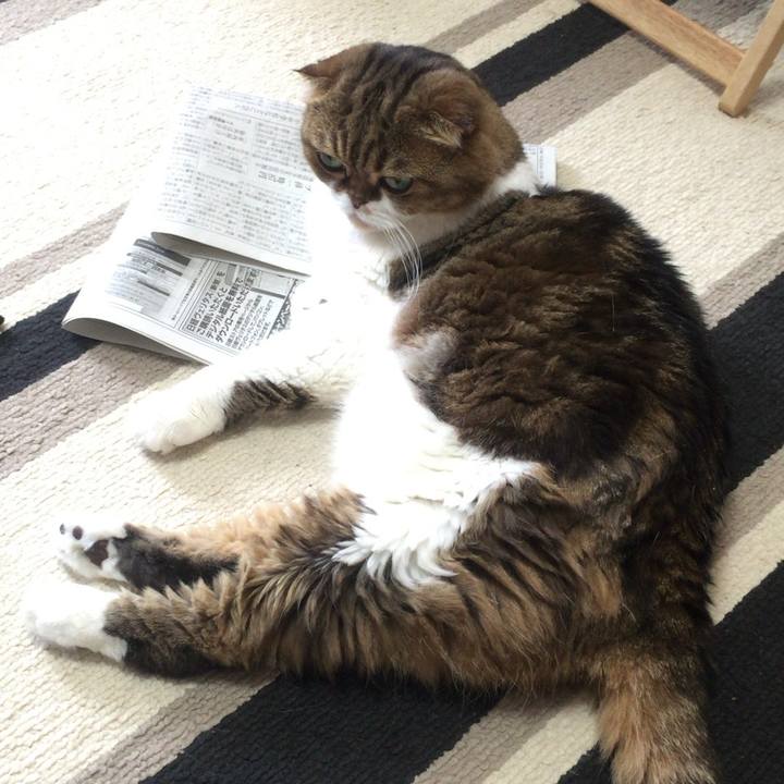 De615d37 60ea 48a0 8d1b 6c215a3ef137