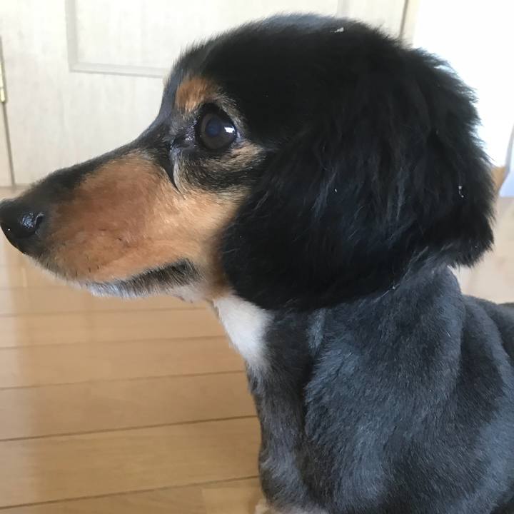 De61e01e f54f 41c7 ad60 c63630b4bae2