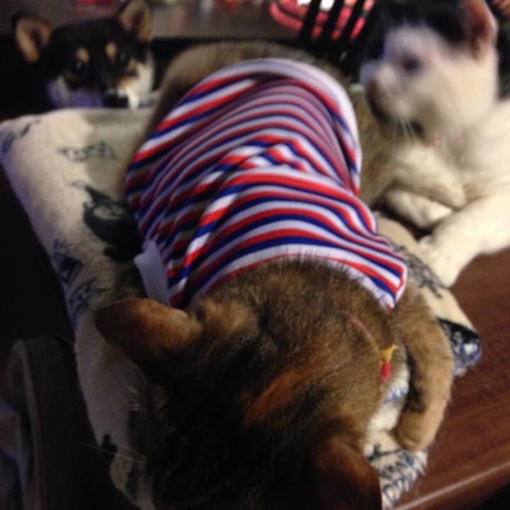 De6205fc 060b 4dbe af79 d489c2133e3e