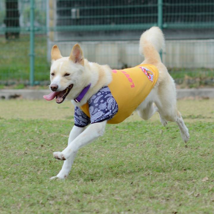 De6260e4 7cb4 44eb 9b74 c306f26158d9