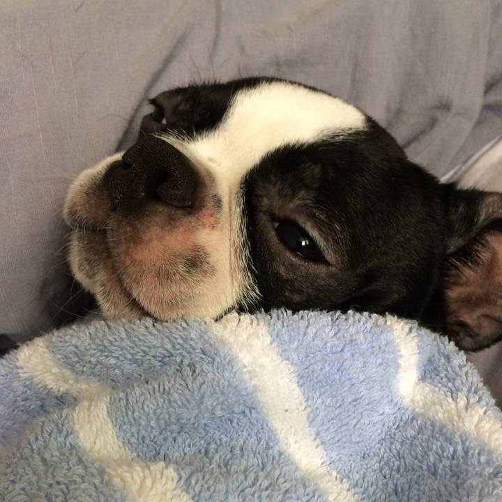 De62666b 3ada 4e36 821f 3c0d03ac7b3f