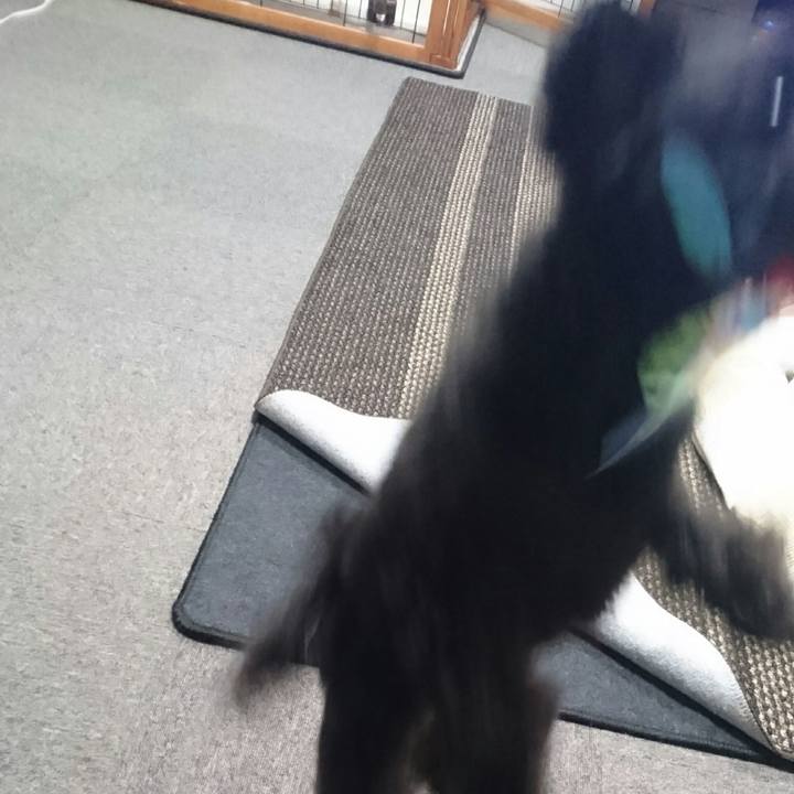 De62791f 2c0f 4f24 bfd4 72bce9c62cbc