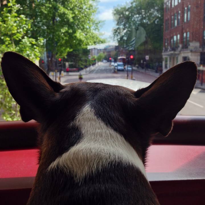 De62bc50 d951 48ac 8cc6 8e74c11756a9