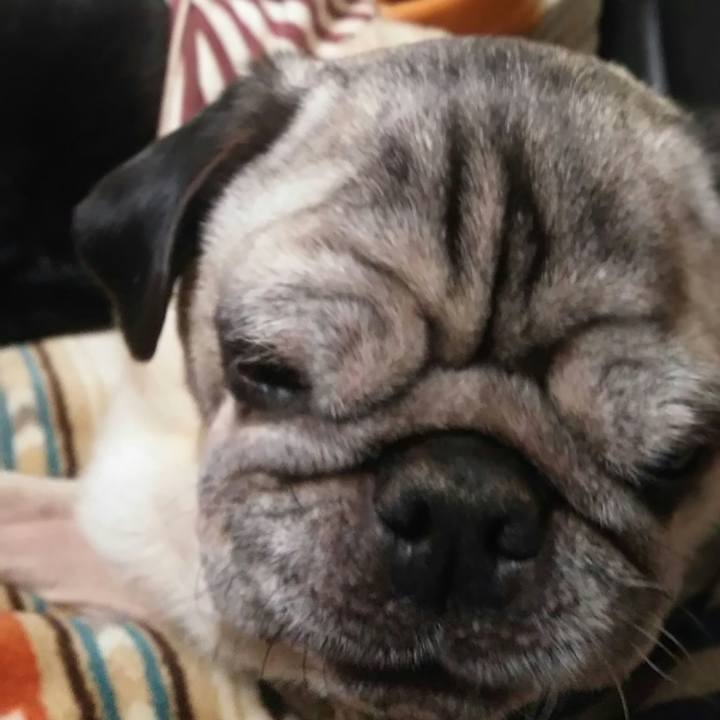 De62fbf8 5049 4e4f 9f63 f243f1fe0f4d