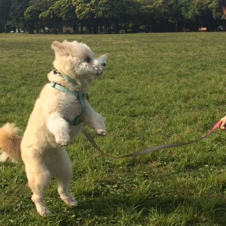 De63058e 0809 4ce2 b97b 8e667061d985