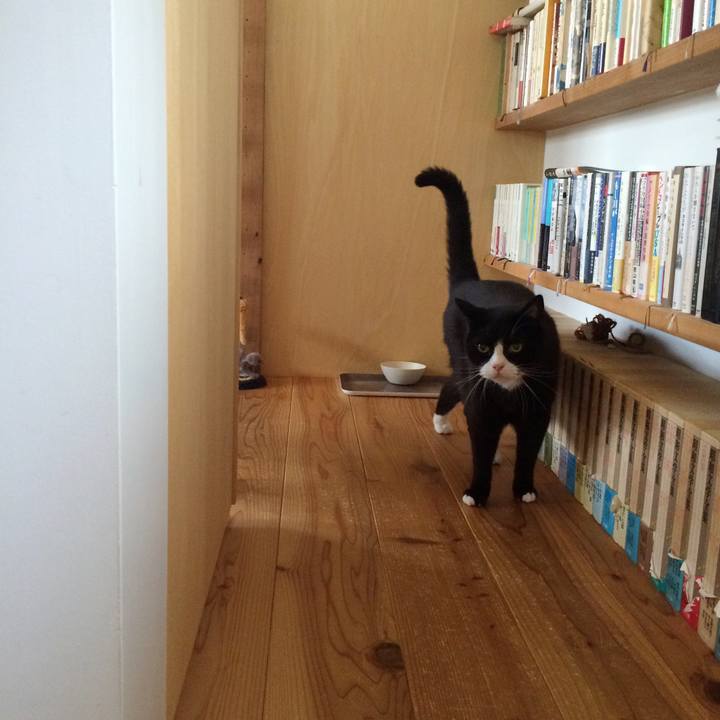 De63379e 6eab 41f7 b1b4 12558c2b000e