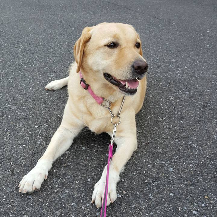 De635089 d967 4be2 bf4a b766fa2833f8