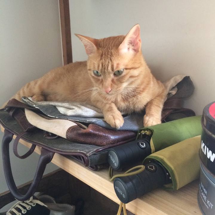 De64506d 6495 43c8 b9ce d8dd02196d60