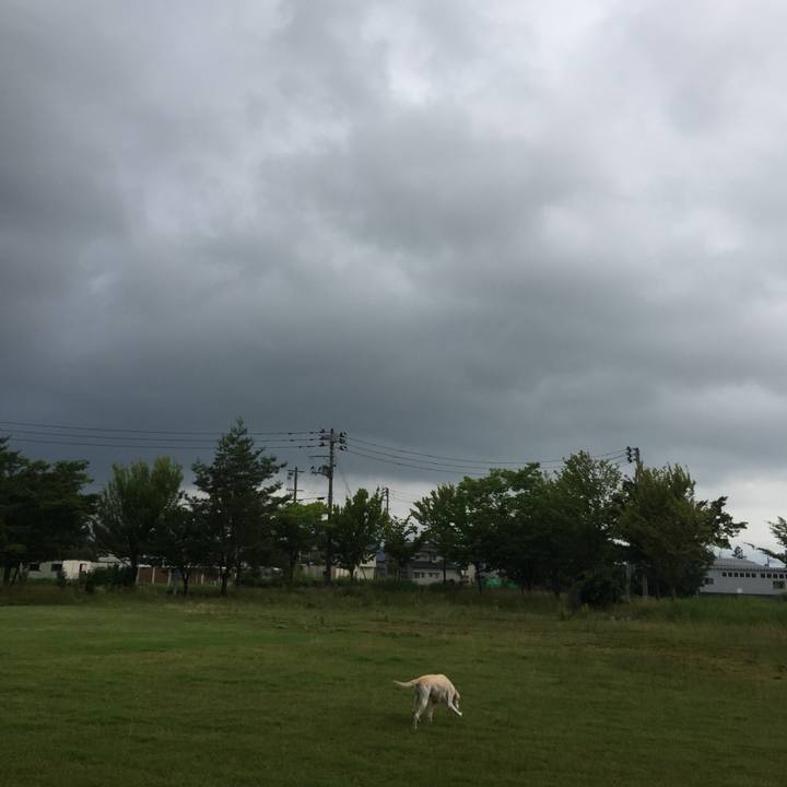 De64922b 91bb 48af 9a36 ab55fec2a860