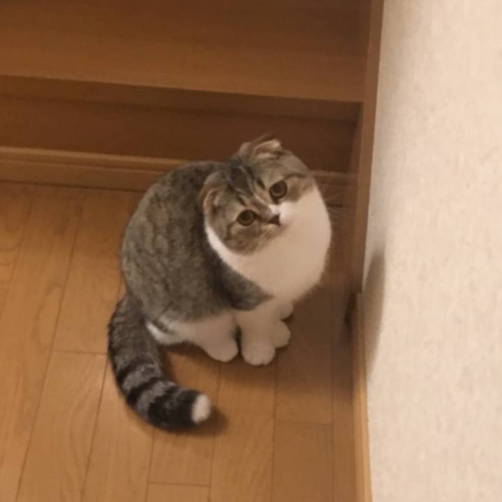 De64ad08 d7d7 4832 af1c 4476ee8ee50b