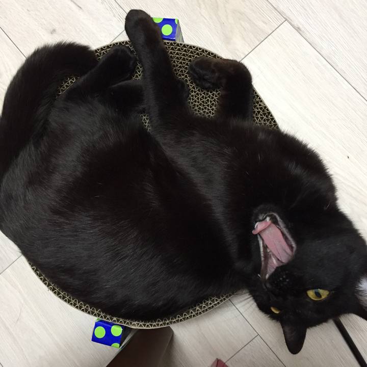 De64d14a 2e46 4b5b 8787 1bf3f445b8d6