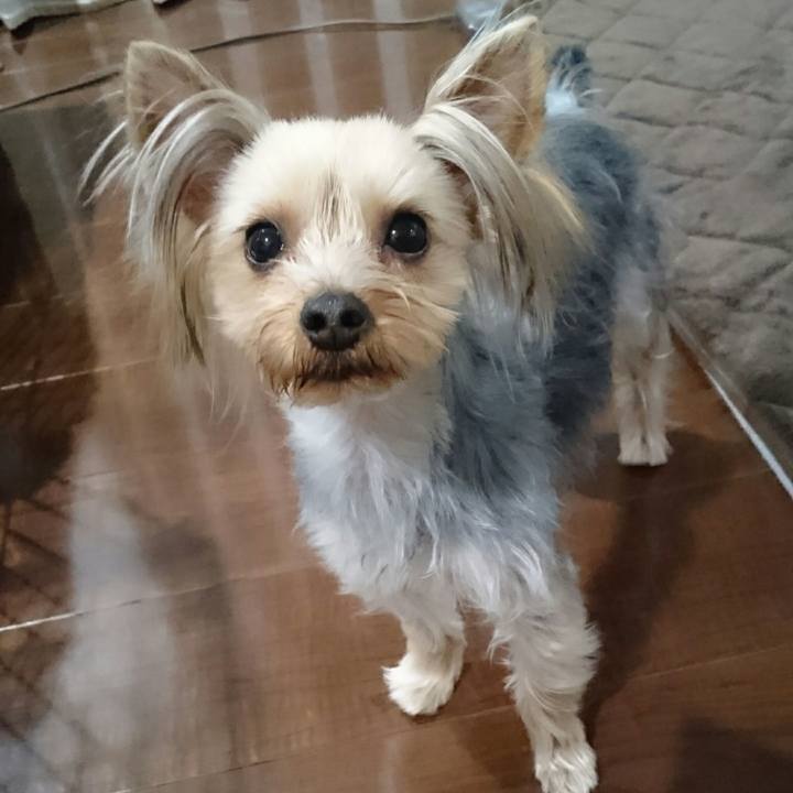 De65ae8a 4754 4208 9b50 bc199233a755