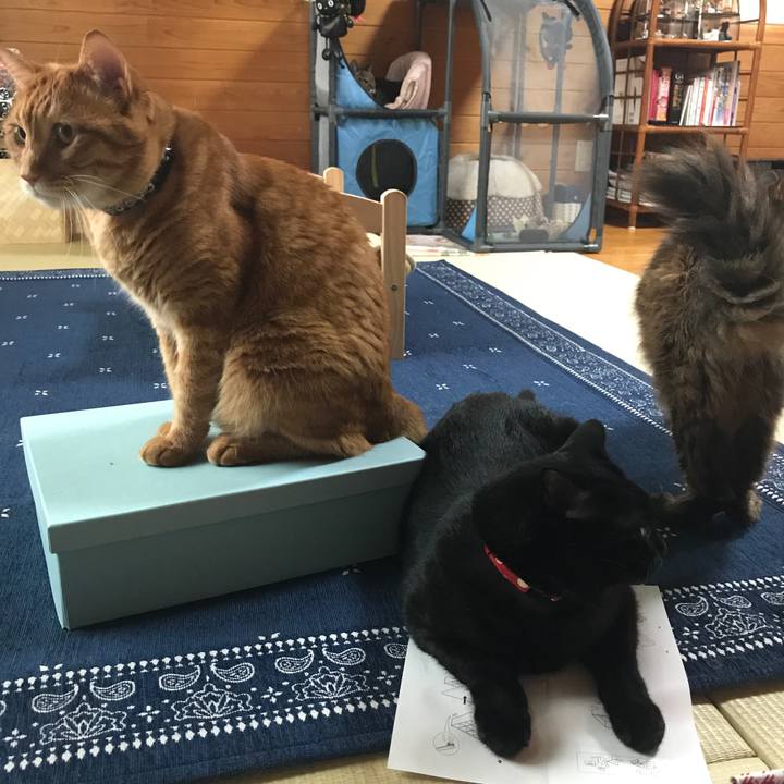 De661287 65fd 410b bf0b b74eb10daaef