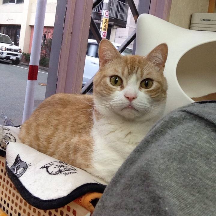 De665b0a 9e5c 455b ad01 171ef5008b20