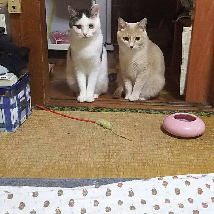 De6662a9 f1dd 4b59 9562 908219edc932