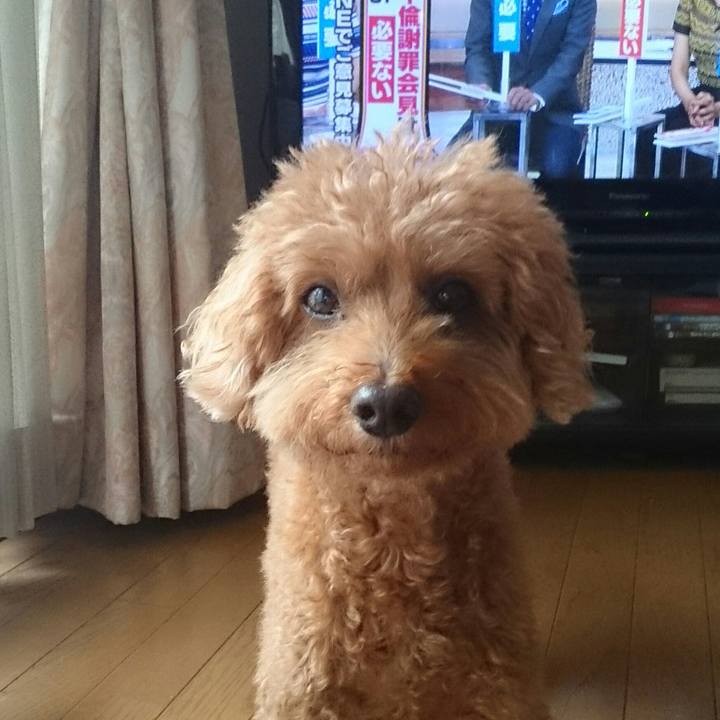 De6678c1 ac57 4194 98a0 aff28db16ab7