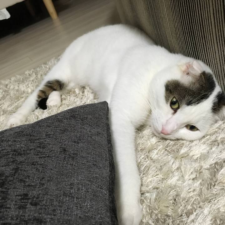 De668f26 581f 4af4 b44a 5258dac3efed