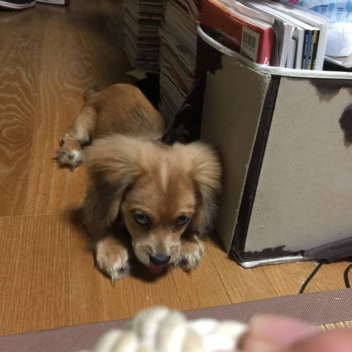 De6706ec d335 474d 8daf 80c4fc9f42e2