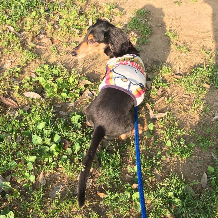 De6742c5 ab86 4eb0 8c7d 48b1d39d3592