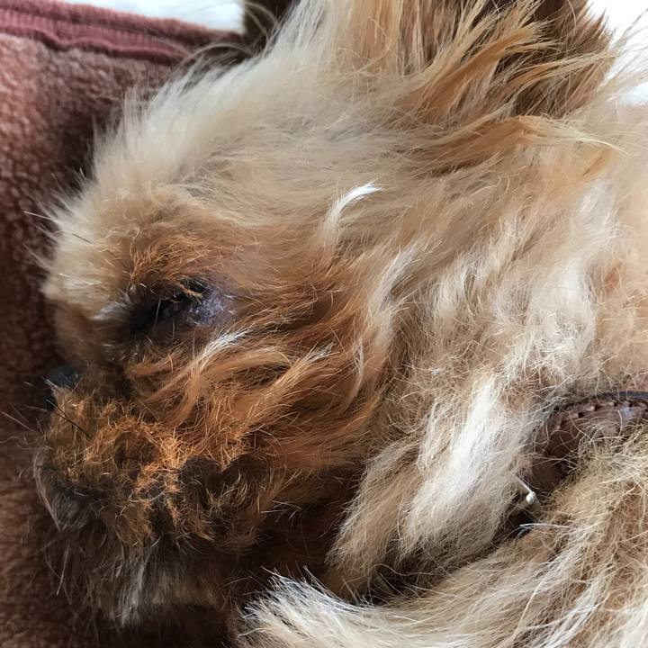 De67877f c415 4a7f b21a f71bf0edf673