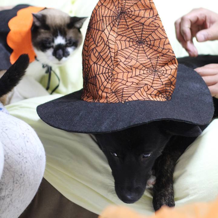 De67ff16 9aa9 4ed2 b4ac 504ada26a26c