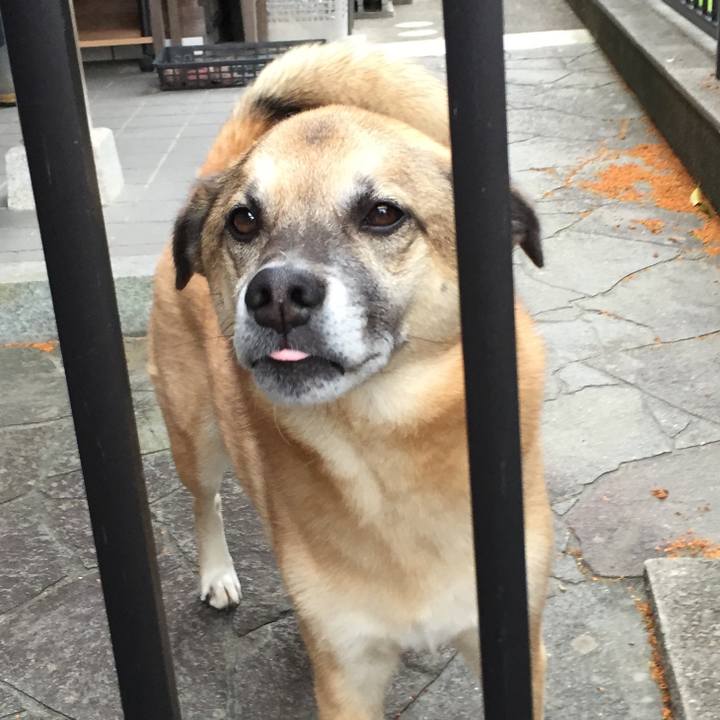 De68325a 6064 439a 9420 5ae99cd40fe1