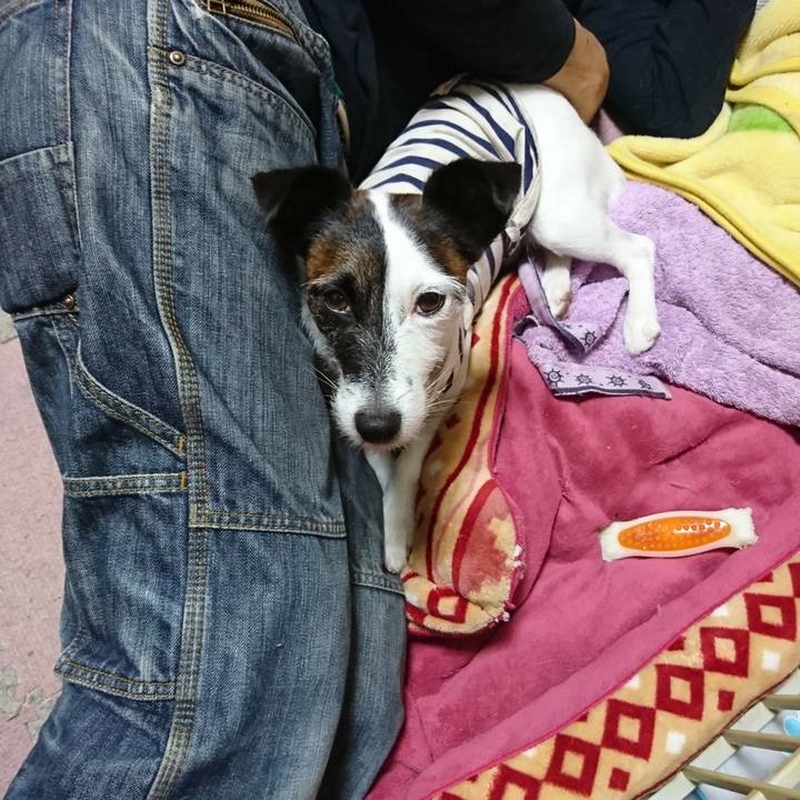 De68a3ac 02ed 40a0 8bfd 8415073b9e42