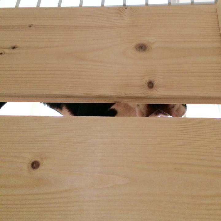 De690b80 d9a0 4194 96eb 618eb2df4637