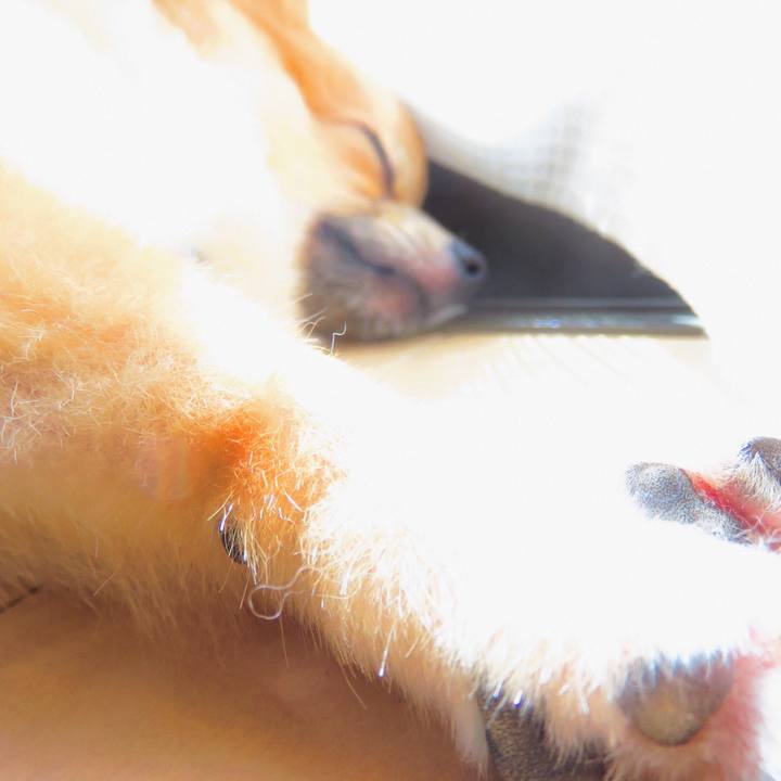 De693fb9 c063 4c58 8885 87fd3bb29e7b