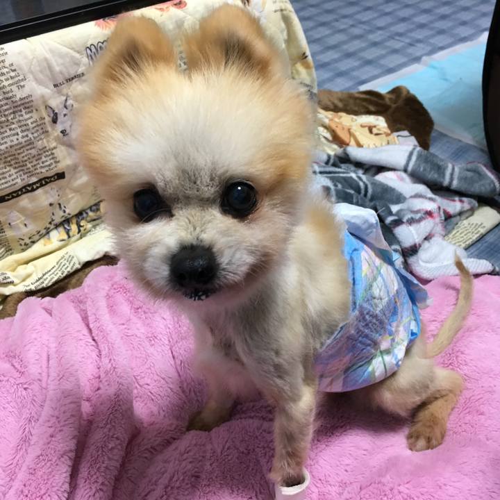 De69714e 1961 4df7 a1b7 e2681bedbf65