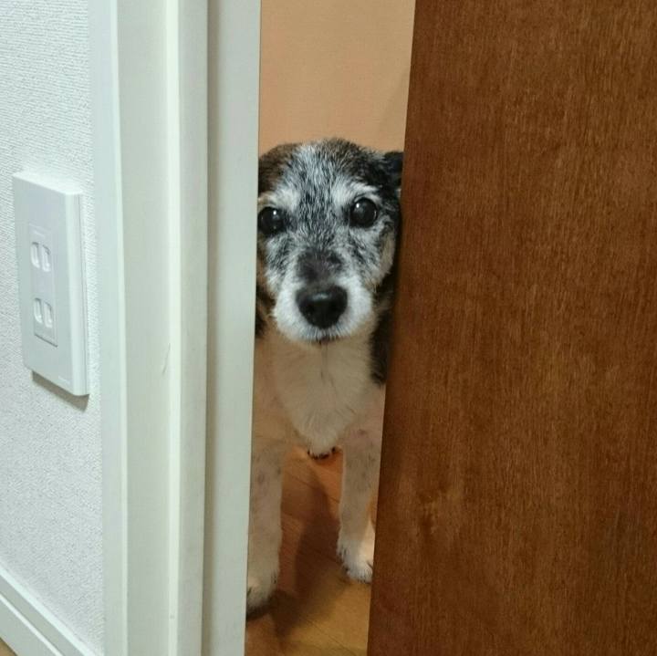 De699b64 ab4f 44cd a8fa 279c19572648