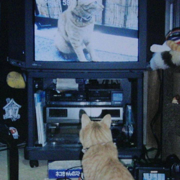 De6a3159 0058 464f a250 8ebf5caf7953