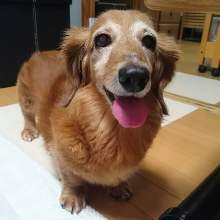 De6a6b4e 0308 4e5d 8c9a 6c07a0598bc5