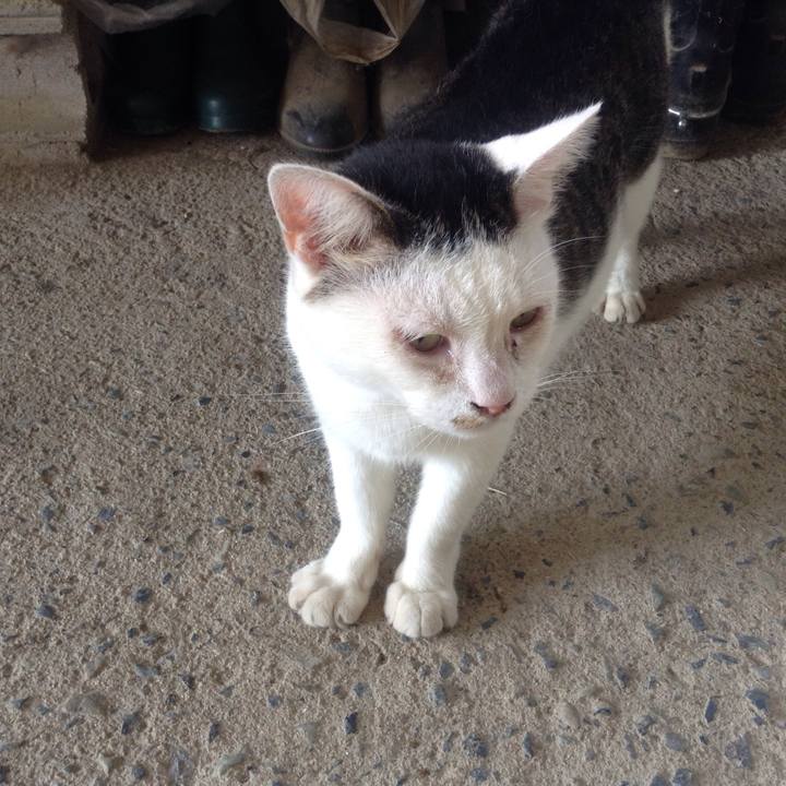 De6b242f da33 4daa a049 3bcae702bc65