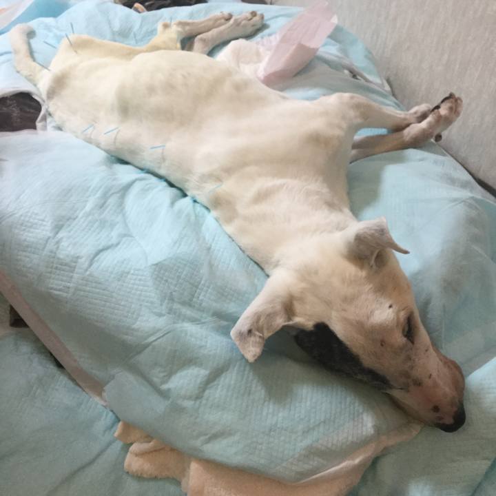 De6bea5b 67a4 42d2 91e5 1f5be3dfc352