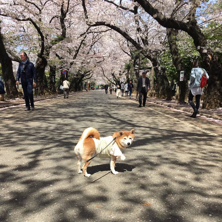 De6c593a cdcc 48cb a9ac 84ad9693efe0