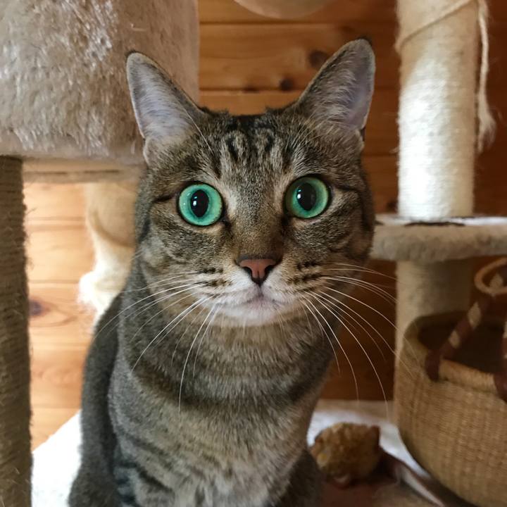 De6cd33b 6f20 4bb5 a2e7 600977410333