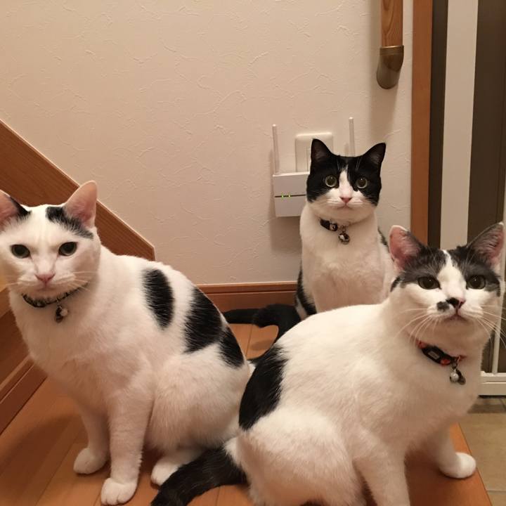 De6d1029 f419 4ab9 99f4 a0f9f9c6a2d9