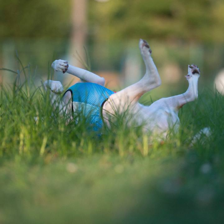 De6d1c3f 9588 48c9 8a28 494256899d58