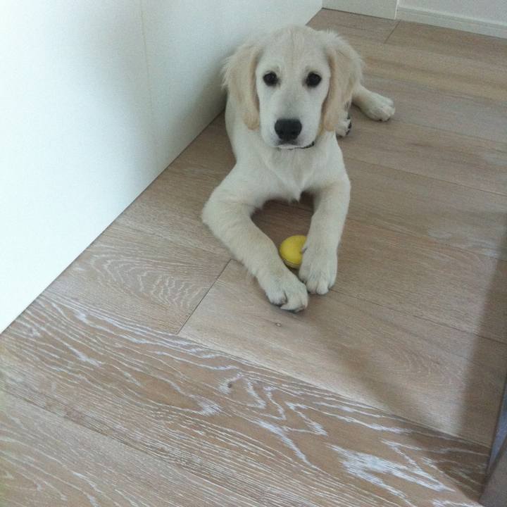 De6d6d01 bde4 40dd b959 ba3e7c684e0e