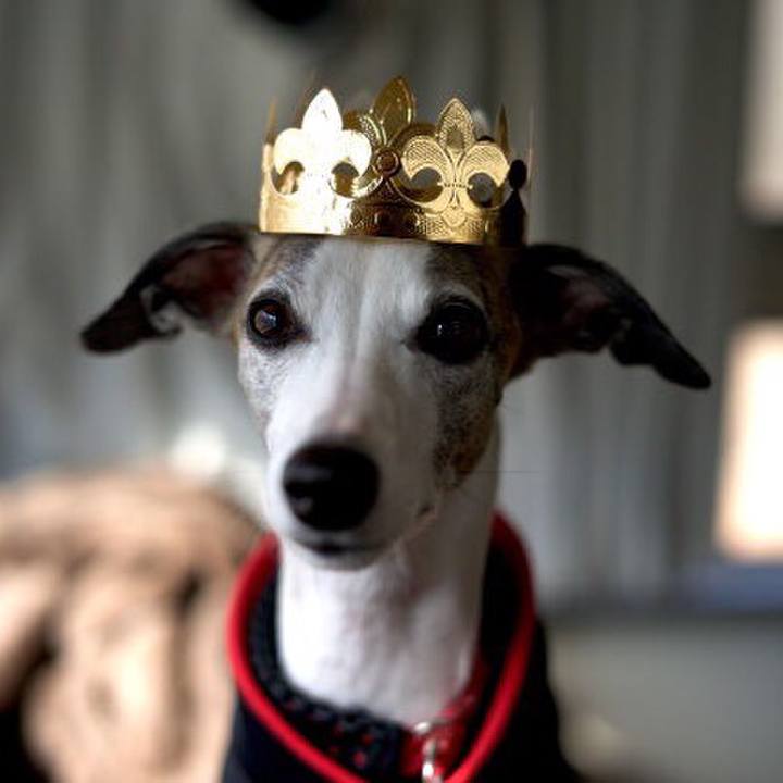 De6d886a cea2 4d67 847c d18e4f67f520