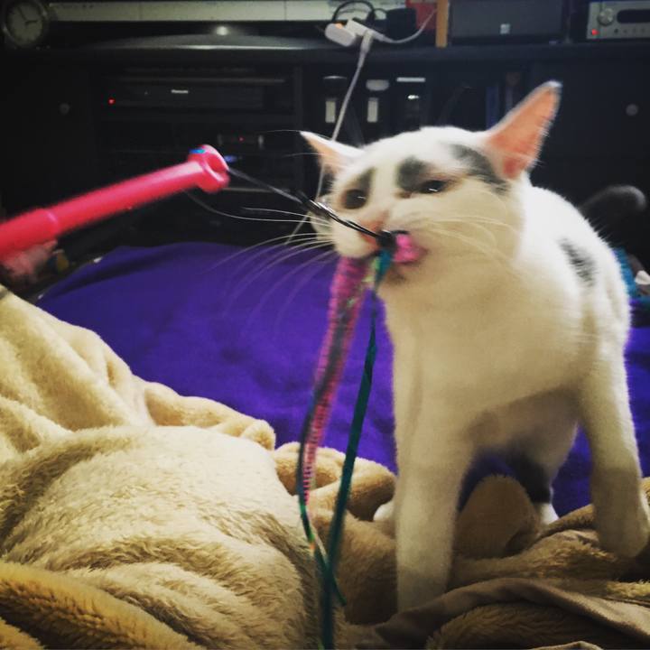 De6dfc46 652b 4e74 82e6 e7f100c48a46