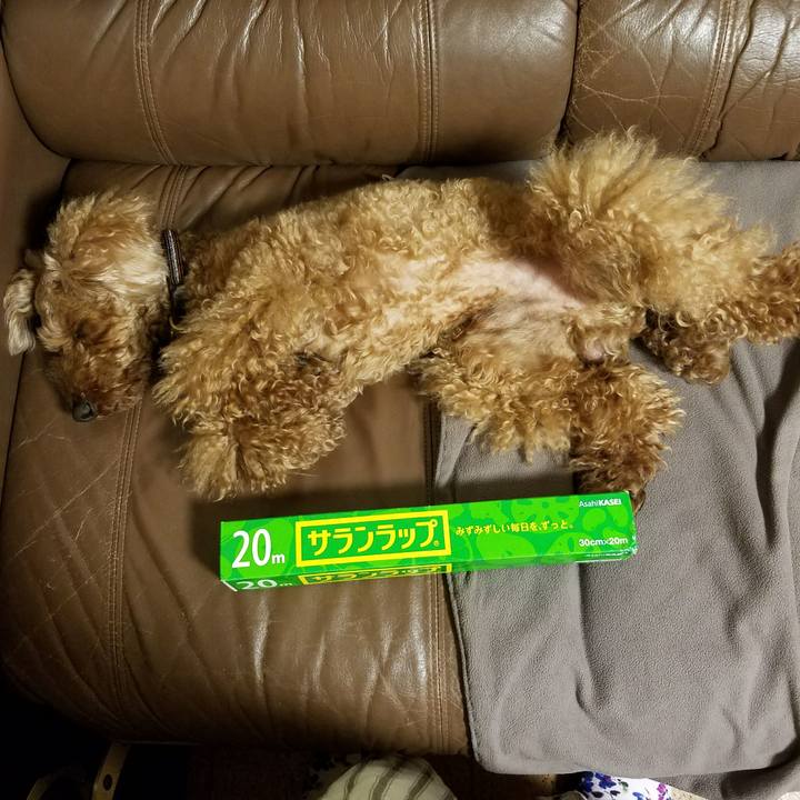 De6e1c50 170d 45db 81c9 5b82ef622d0f