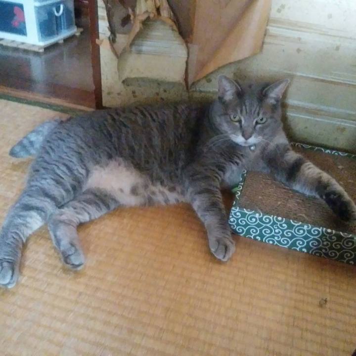 De6e3c46 0577 430d 95a5 e407ce6b74ba