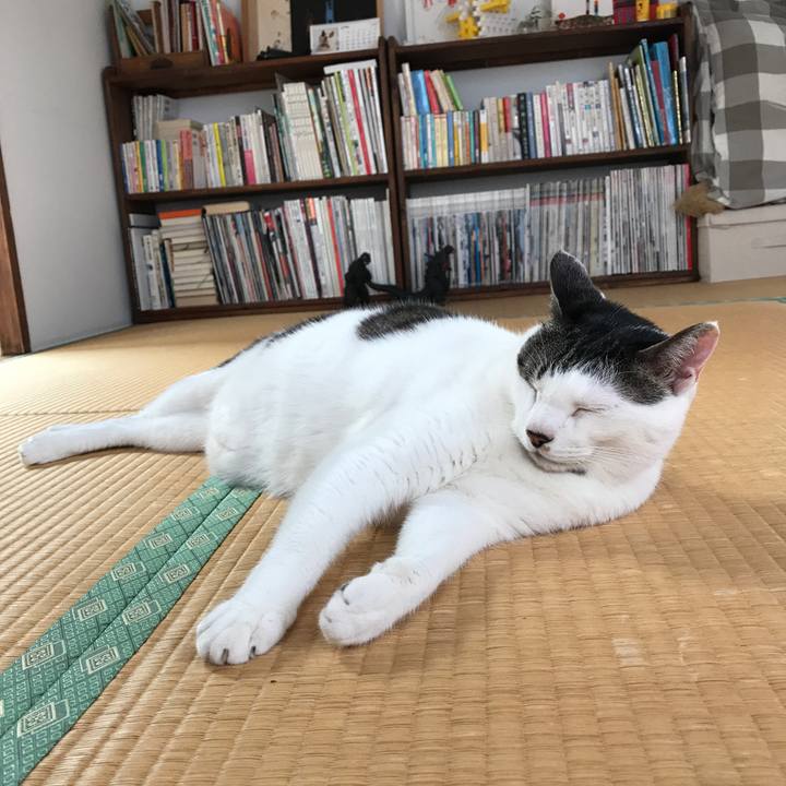 De6ec034 7498 44ec 9680 dce57be9c00a